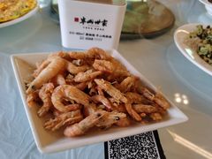 -京北渔家傲