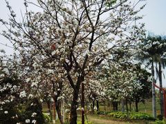 -荔湾区儿童公园