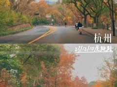 -虎跑公园