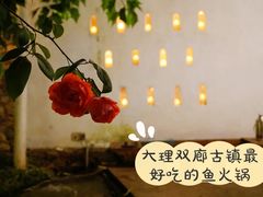-大理老字号·舟渔的鱼野生菌海景餐厅(双廊店)