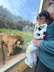 -Zoolung Zoolung动物主题公园(海信广场店)