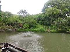 -上海醉白池公园