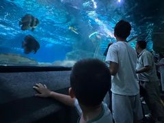 -大连圣亚海洋世界