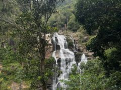 -海南热带雨林国家公园吊罗山景区