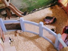 -正佳雨林生态植物园