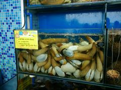 水产区-蚝专家(北滘店)
