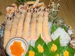 -初花·日本料理
