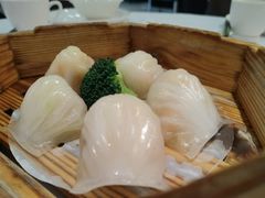 -宝园酒家(美林M·LIVE天地东座店)