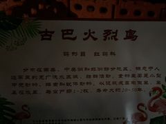 -南宁南湖公园