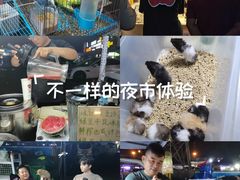 -中环花鸟鱼虫市场