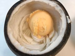 -志龙皇冠吃货椰子铺