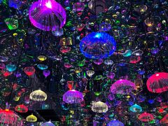 -上海梵高星空艺术馆(南京路旗舰店)