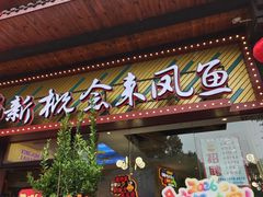 -新概念来凤鱼(璧山店)