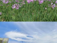 -中国天府农业博览园