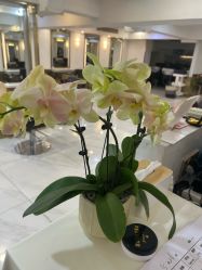 -雅仕 HAIR SALON 美发沙龙