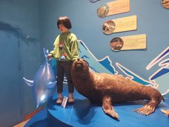 -多彩贵州城极地海洋世界