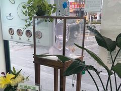 -自然之声助听器·呼吸机(康桥旗舰店)