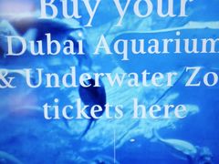 -迪拜水族馆及水下动物园