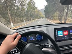 -养马岛旅游度假区