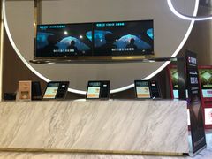 -SFC上影影城(港汇永华IMAX激光店)