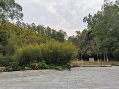 -火炉山森林公园