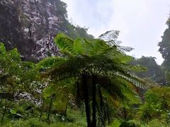-百魔洞景区