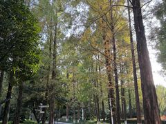 -苏州河梦清园环保主题公园