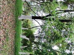 -天鹅湖体育公园