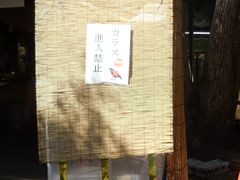 -热田神宫