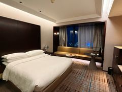 -上海龙之梦万丽酒店