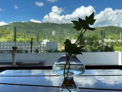 -楠溪江风景名胜区