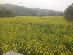 -红山村