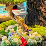 我敢说这是在西安｜环境zuì好的淮扬菜