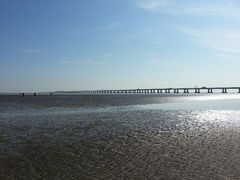 android_upload_pic-南汇嘴观海公园