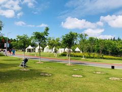 -上海长兴岛郊野公园