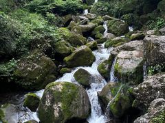 -青城山