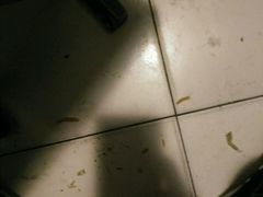 -吴记酱骨炖菜馆(西大直街店)