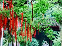 -杭州黄龙洞