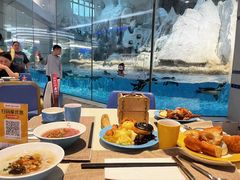 -帝企鹅自助餐厅•儿童岛•真企鹅(长隆企鹅酒店)