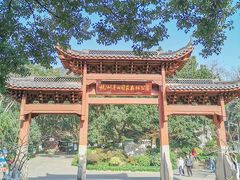 -杭州半山国家森林公园