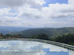 -九龙江国家森林公园