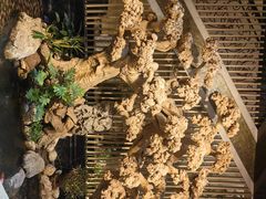 -浣花锦绣(杜甫草堂店)