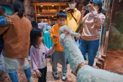 -宝燕乐园(闵行旗舰店)