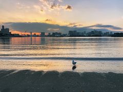 -台场海滨公园船码头