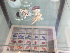 -AudioNova 海之声助听器峰力助听器索诺瓦自营店(北京店)