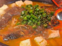 -探鱼·鲜青椒爽麻烤鱼(广州欣荣广场店)