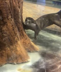 -Zoolung Zoolung动物主题公园(海信广场店)