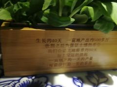 -卢大鲜鱼头捞饭(美利广场店)