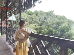 -海南槟榔谷黎苗文化旅游区