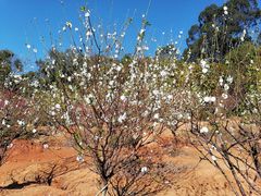 -南国桃园旅游度假区